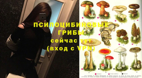 ECSTASY Новокубанск