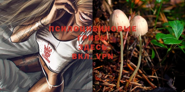 MESCALINE Новозыбков