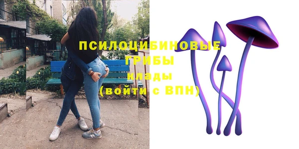 гашиш Новодвинск