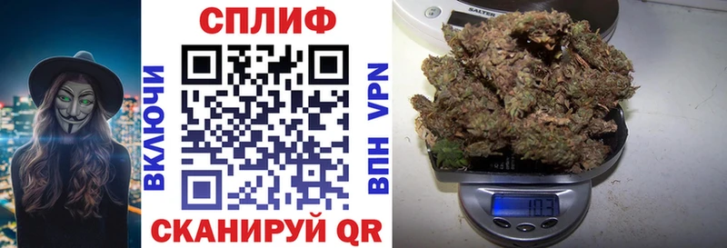 даркнет наркотические препараты  Алзамай  МАРИХУАНА индика 